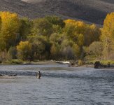 IMG_8015c.jpg