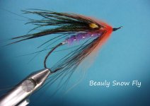 Beauly Snow Fly2.jpg Beauly Snow Fly2.jpg