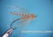 Dickson's Crystal Caddis.jpg Dickson's Crystal Caddis.jpg