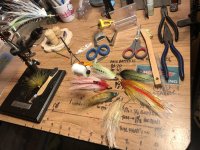 IMG_7554.jpeg IMG_7554.jpeg