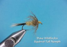 Dave Whitlock's Squirrel Tail Nymph2.jpg Dave Whitlock's Squirrel Tail Nymph2.jpg