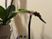 IMG_4820.jpeg