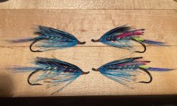 IMG_2621.jpeg