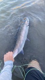 IMG_6464.jpg