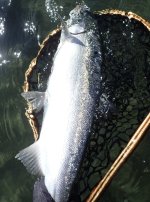 IMG_5850.jpeg