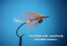 Thunder and Lightning2.jpg
