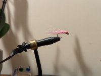 IMG_4833.jpeg IMG_4833.jpeg