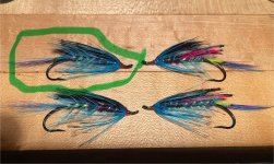 IMG_2621.jpeg