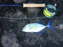 IMG_0303.jpeg