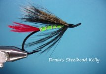 Drain's Steelhead Kelly.jpg Drain's Steelhead Kelly.jpg