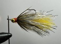 IMG_5858.jpeg IMG_5858.jpeg