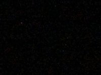 IMG_3550.jpeg