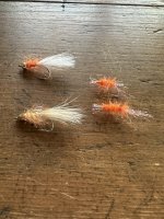 IMG_8248.jpeg
