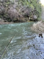 IMG_2625.jpeg
