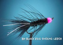 Black Egg Sucking Leech.jpg Black Egg Sucking Leech.jpg