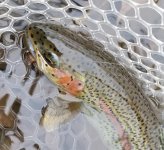 20231216_hefish2.jpg