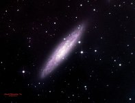 Silver Dollar Galaxy -Cropped-adjusted - PS copy.jpg Silver Dollar Galaxy -Cropped-adjusted - PS copy.jpg