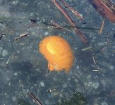 IMG_5908.jpeg