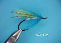 Blue Finn.jpg