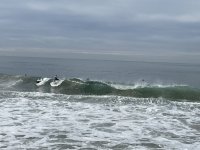 IMG_3321.jpg