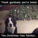 IMG_5937.jpeg