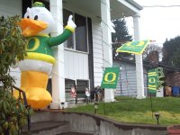 duck.jpg