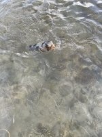 IMG_0372.jpeg