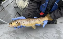 IMG_1743.JPG