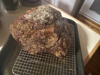 IMG_7993.jpeg