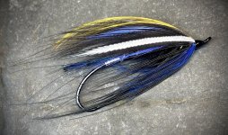 IMG_4407.jpeg
