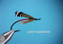 Cajun Coachman.jpg