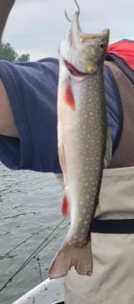 20190529_140153.jpg