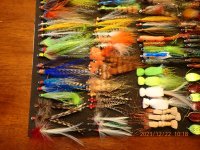 PC220042.JPG PC220042.JPG