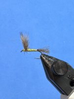 IMG_2496.jpeg