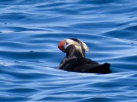 IMG_3313.jpeg