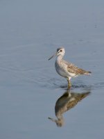 IMG_3707.jpeg