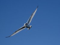 IMG_4157.jpeg