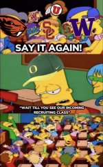 fmnax478y3n1.jpg