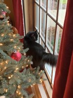 IMG_7044.jpeg IMG_7044.jpeg