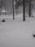IMG_20211226_091105418.jpg