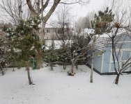 1000003777.jpg 1000003777.jpg
