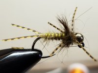 20231223_122954.jpg