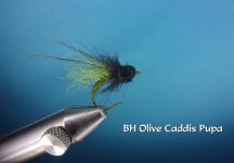 BH Olive Caddis Pupa.jpg