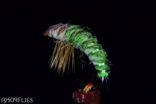 DSC_341-342-stacked - edit 1.jpg