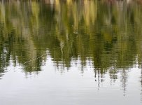 IMG_3816.jpeg IMG_3816.jpeg