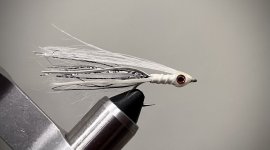 3042690B-90D6-42CB-B034-ADB2020C0A72.jpeg