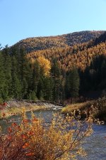 IMG_9979.JPG
