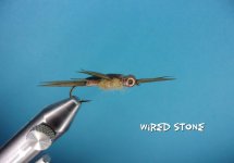 Wired Stone.jpg