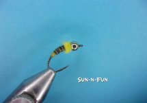sun-n-fun.jpg