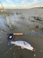 IMG_8606.jpeg